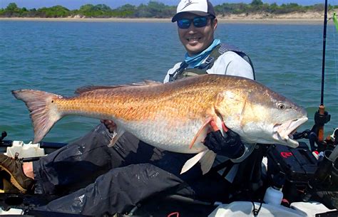 From Beginner to Pro: Redfish Fishing with Spinnetbait
